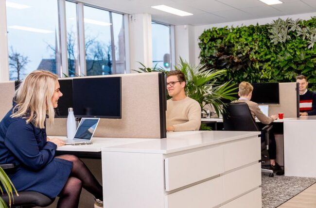 technisch seo specialist