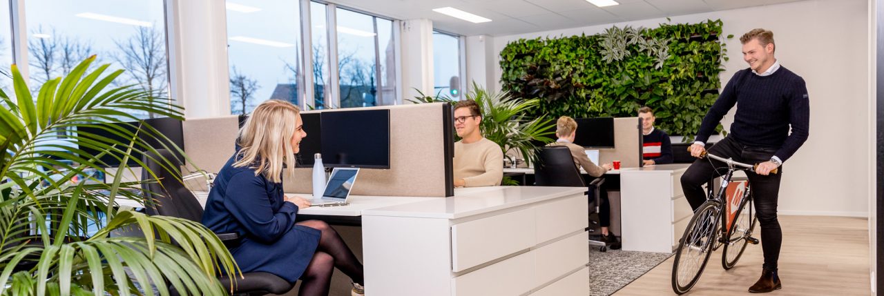 technisch seo specialist