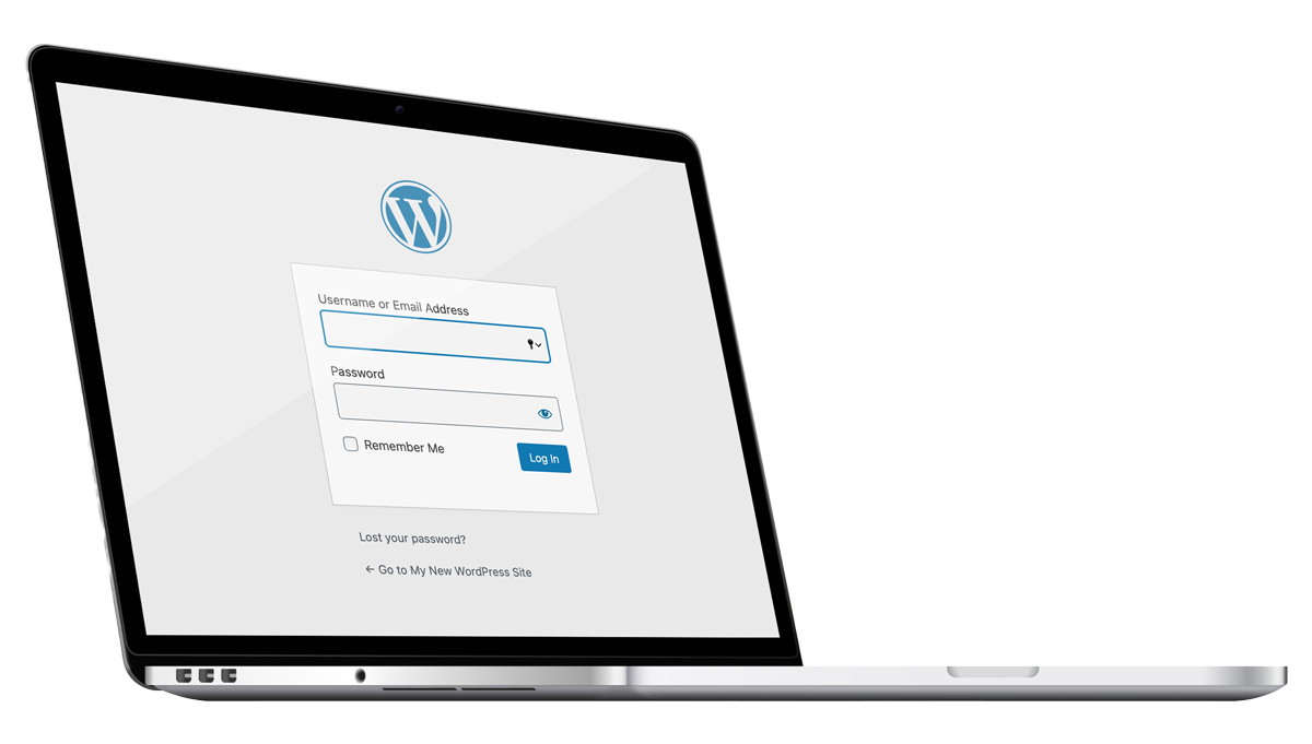 zoekmachine optimalisatie wordpress