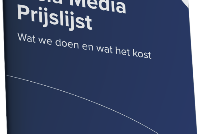 seo diensten kosten