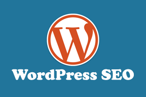 wordpress website optimalisatie