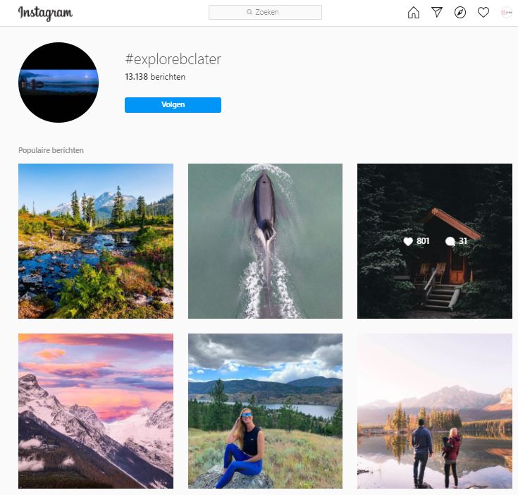 social media campagne
