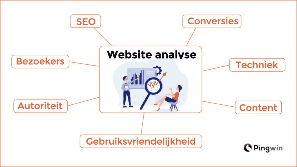 website analyse